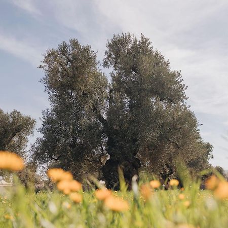 Masseria San Lorenzo Resort 法萨诺 外观 照片