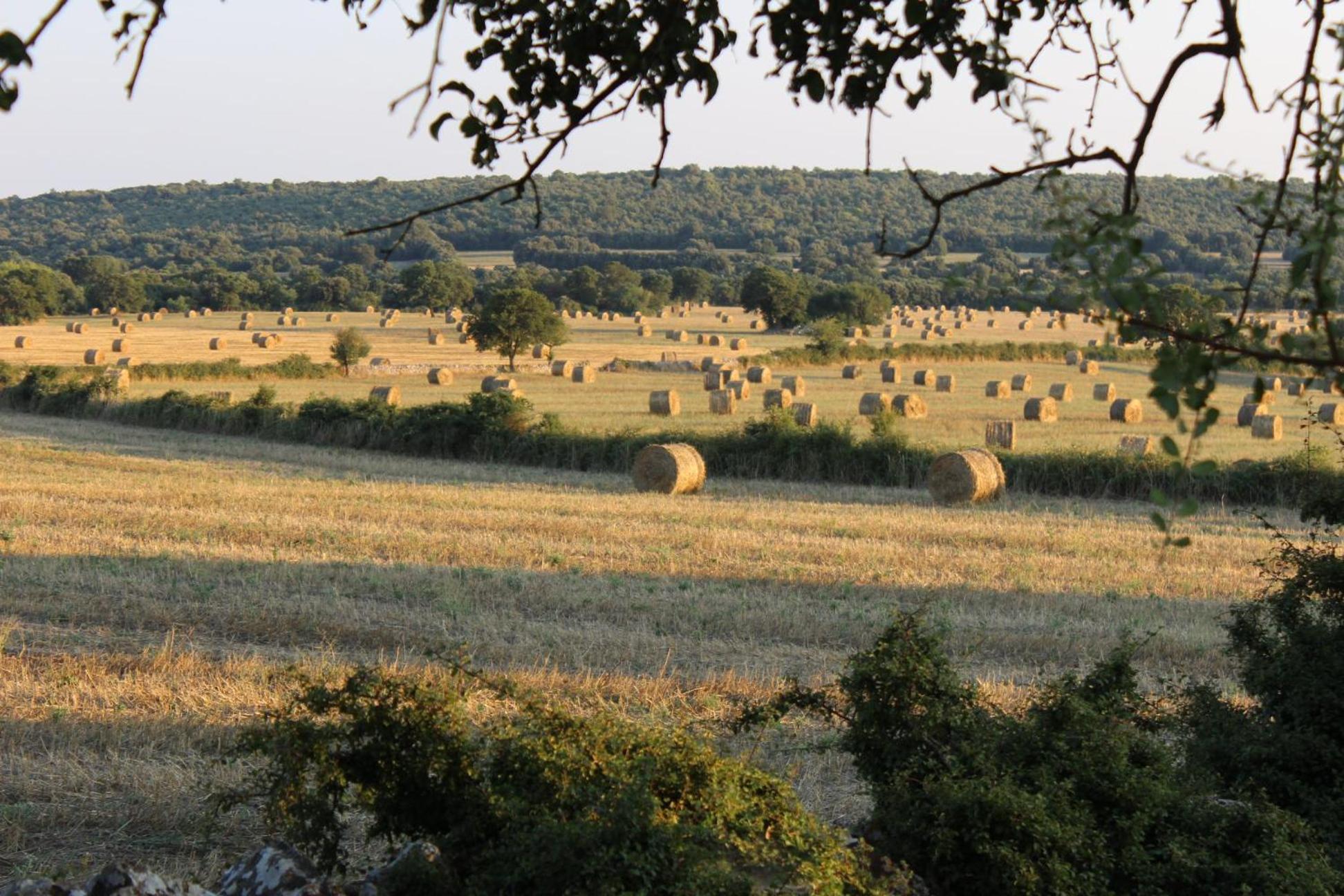 Masseria San Lorenzo Resort 法萨诺 外观 照片