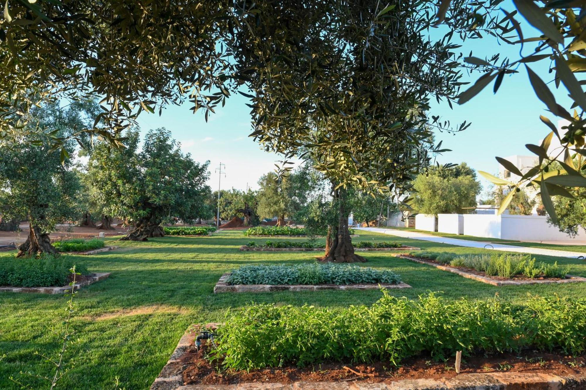 Masseria San Lorenzo Resort 法萨诺 外观 照片